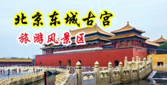 扒开逼让大鸡巴操视频中国北京-东城古宫旅游风景区